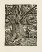 Elwes (Henry John) and Augustine Henry. - The Trees of Great Britain and Ireland, 8 vol.,
