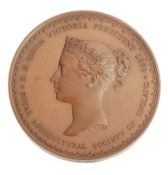 Royal Agricultural Society, 50th Anniversary 1889, bronze medal by W. & L. C  Royal Agricultural