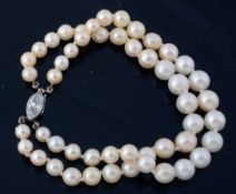 A two row cultured pearl bracelet, the graduating 5.1mm to 7  A two row cultured pearl bracelet,