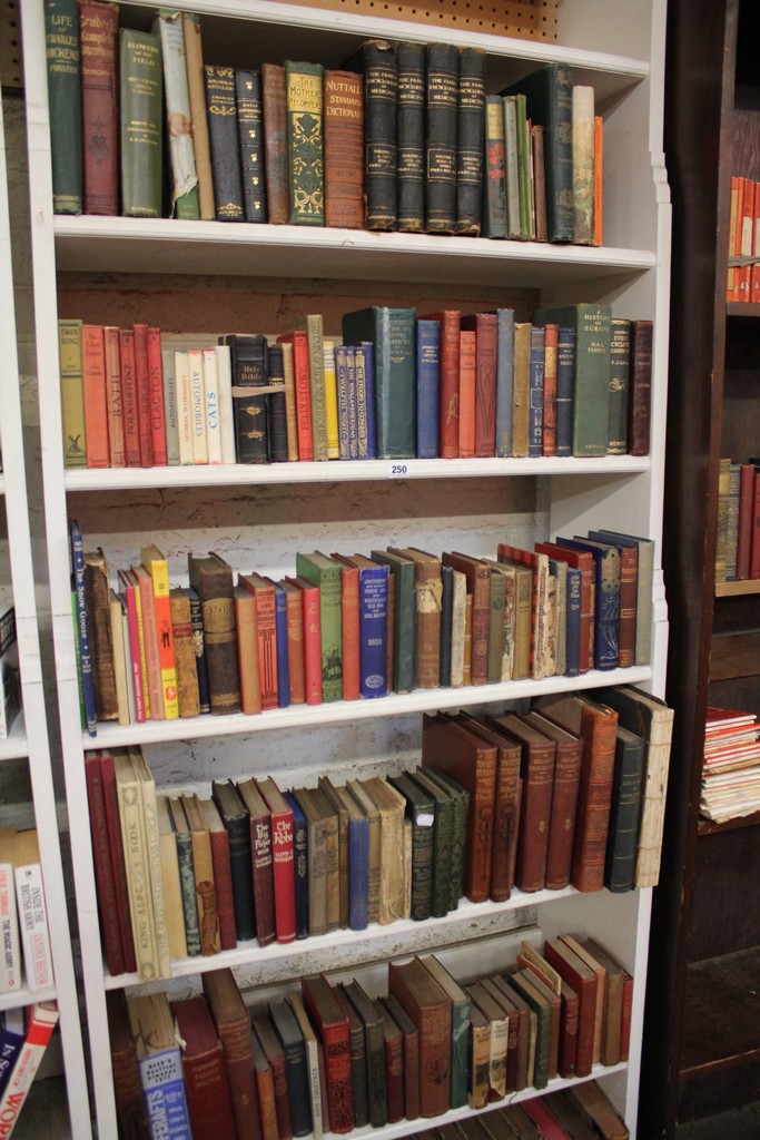 Eight shelves of books, mostly novels and a few reference books and some Ordnance Survey Maps.