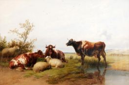 Thomas Sidney Cooper (1803-1902), Cattle and Sheep in a pasture, Oil on canvas, Signed and dated