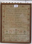 A framed and glazed needlework sampler by Ann Wray, dated 1833; 33.5 x 25cm