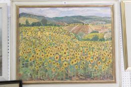 Attributed to Joy Girvan Field of Sunflowers Oil on canvas 60 x 74cm