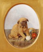 Horatio Henry Couldery (1832-1918), A pug dog playing with flowers, oil on board, Oval, Signed with