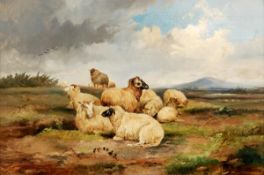 J. Morris (19th century), Sheep in a landscape, oil on canvas, Signed lower right, 40.5 x 61cm (16