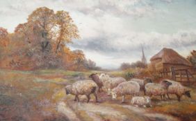 W.V. Tippett Sheep in a lane Oil on canvas Signed and dated `1891` lower right 49cm x 74cm