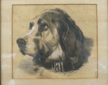 19th Century English School Spaniel head Pencil Initalled and dated lower right `J.W 1884` 20 x 23cm