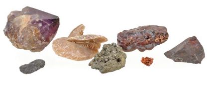 A collection of mineral and prehistoric fossil specimens, including belemnites, a Southern