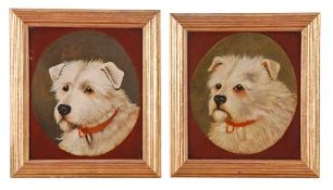 English School (19th century), Head studies of terriers, A pair, oil on board, In feigned ovals,