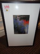 Two framed flower prints both 440 x 690mm