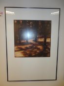 Two framed prints of woodland 720 x 1020mm