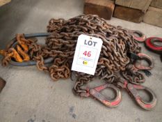 Multi leg lifting chain (purchaser will be required to confirm in writing that they will  test/