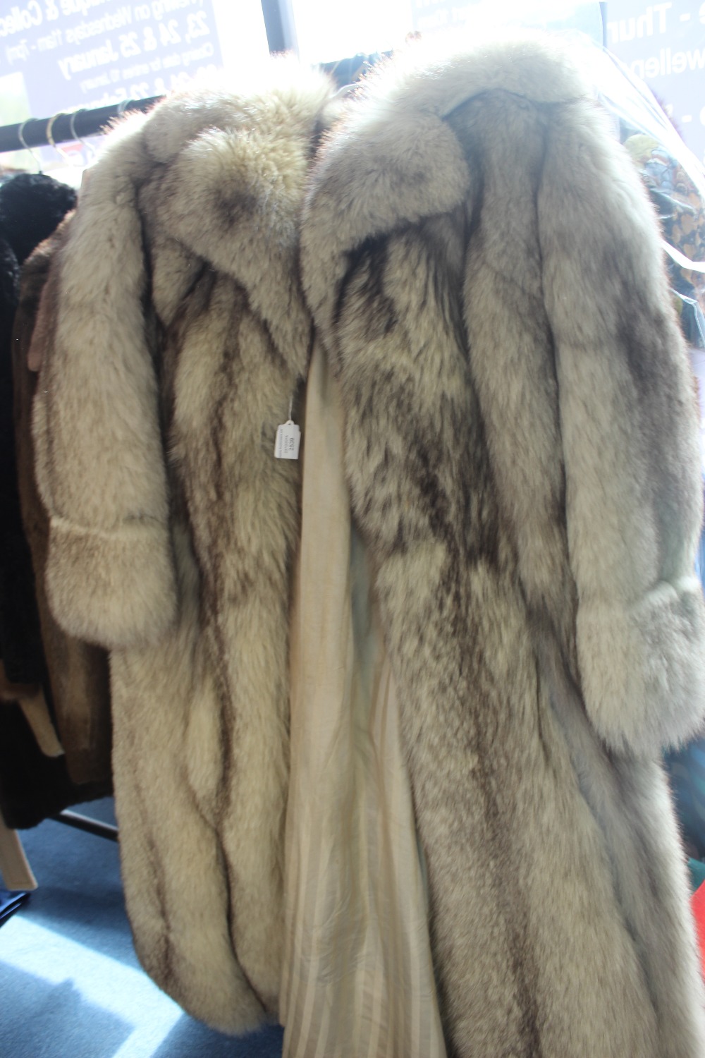 A Swedish Fox - Silver - long fur coat