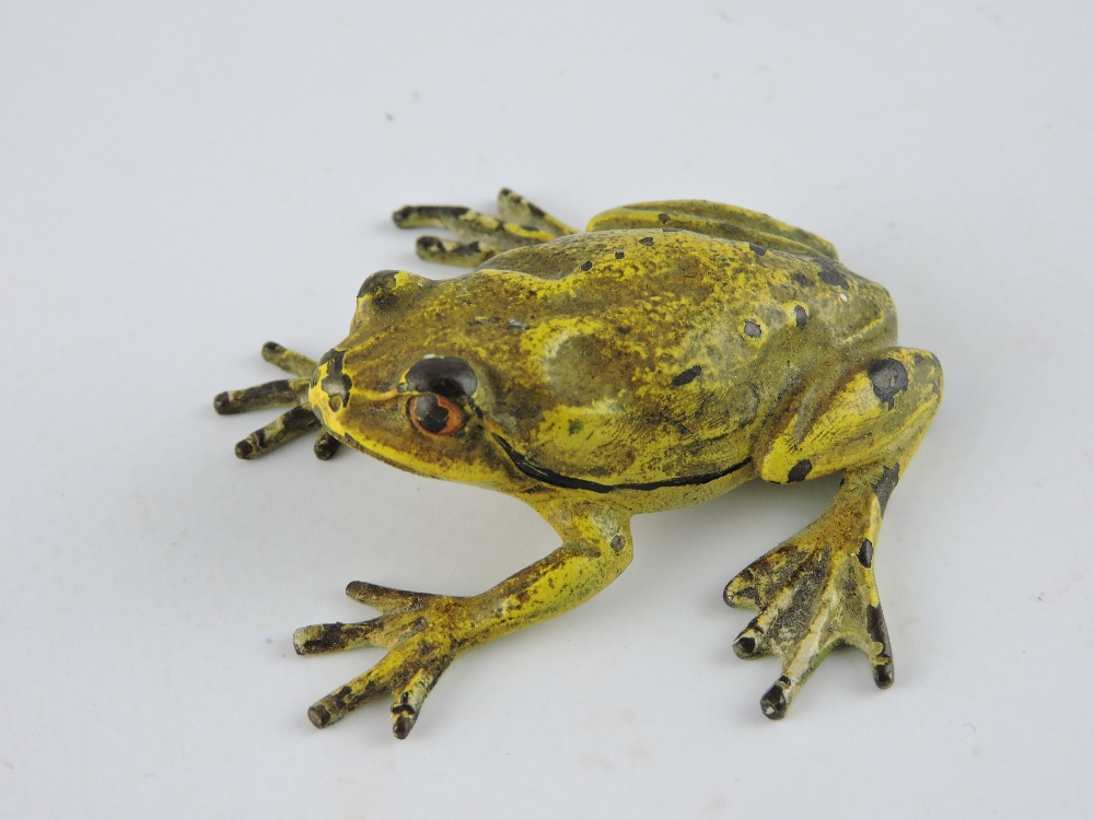 Bergman & Sons, Austria, a cold painted bronze toad, L. 4.5cm.