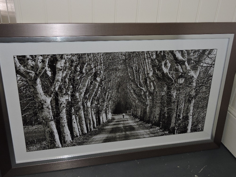 A large framed photographic print, Autumnal Tree Lined Avenue, 60cm x 106cm.