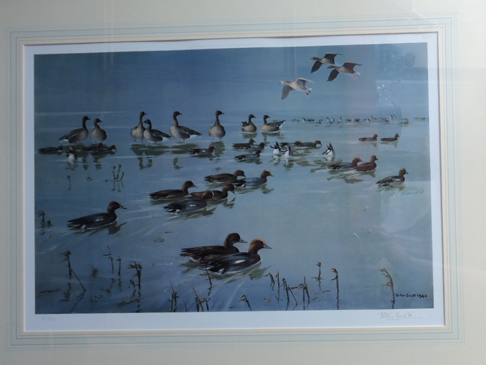 After Peter Scott, Wild Fowl on Open Water, limited edition lithograph no. 176/850, signed in pencil