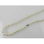 A pearl necklace with a white metal clas