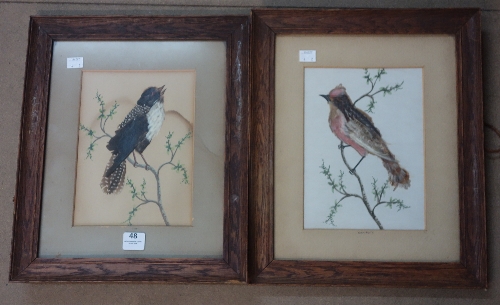 A pair of bird collages