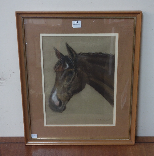 A pastel drawing of a horses head, framed