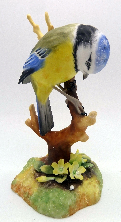 A Royal Crown Derby Blue Tit, for Sinclairs, 46 of 100, S.P. Slack, with box