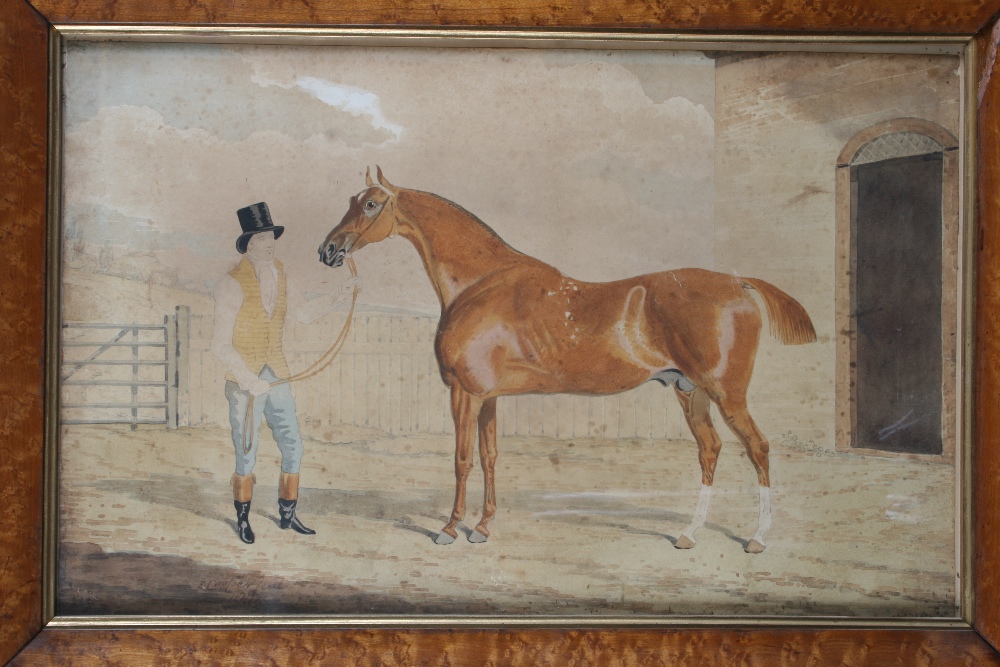 Edwin Cooper of Beccles, study of a Stallion and groom, signed watercolour, 30cm x 50cm, contained
