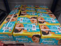 *13 Cases of Pampers Paper Dry Nappies Size 3