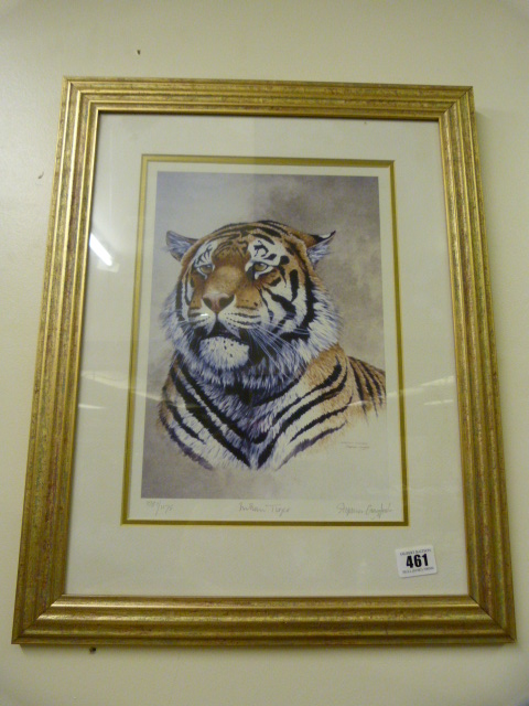 Gilt Framed Limited Edition Stephen Gayford Print - The Indian Tiger-