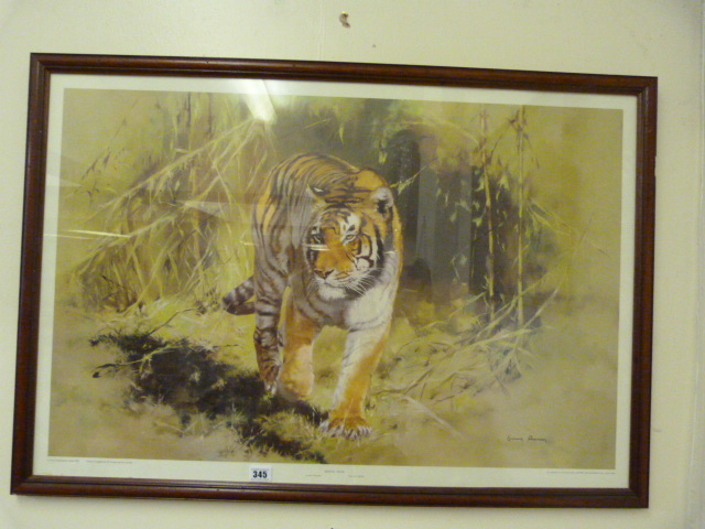 Mahogany Framed Print of a Bengal Tiger