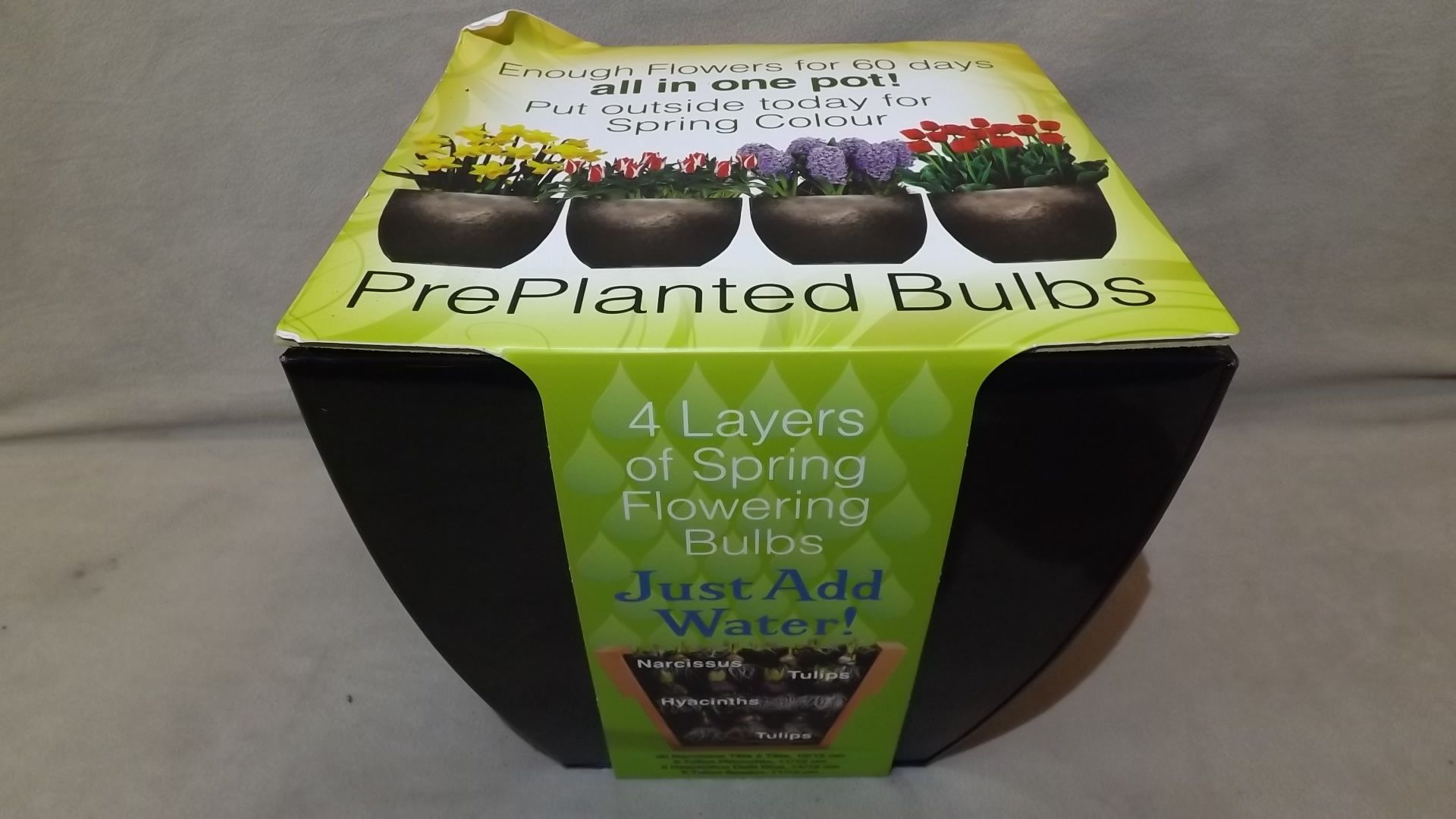 1 BOXED PRE PLANTED BULB SET RRP £32.99