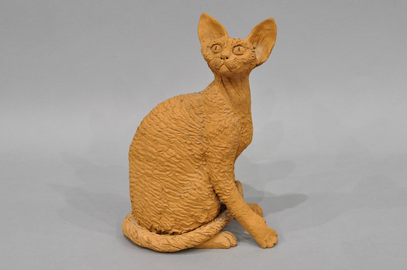Eileen Ferguson, handmade terracotta sculpture of a `Devon Rex` cat