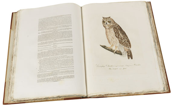 Susemihl, Johann Conrad. Teutsche Ornithologie. 1800-1817. 2 Bde. [Susemihl, J. C.], Teutsche