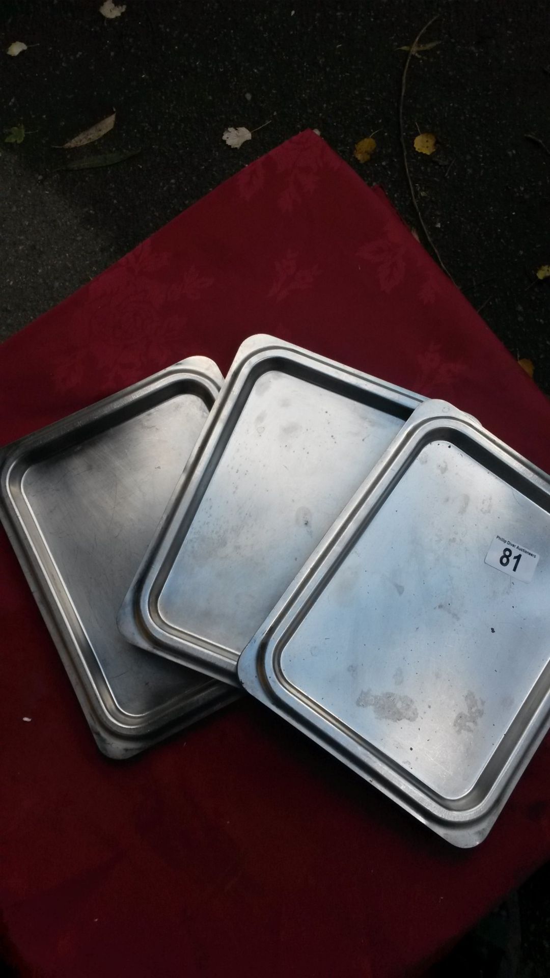 10x Stainless steel trays