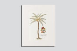 An unframed, but mounted coloured engraving from an Atlas, palm tree and coat of arms - `To Her