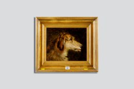 SIR EDWIN LANDSEER RA oil on canvas - head study of a deerhound, signed and with McEwan Gallery,
