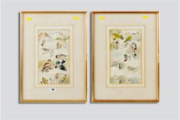 PHILLIP SNOW pair of frames of annotated studies of British birds in various situations, each 11.5 x