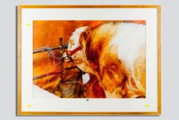 KEITH BOWEN pastel - powerful study of a tethered Continental bull, signed and dated 1988, 21.25 x