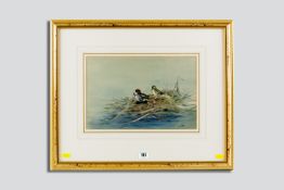 GEORGE EDWARD LODGE watercolour - two teal on their nest, signed, 8.75 x 13.5 ins (22.5 x 34