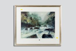 WILLIAM SELWYN coloured limited edition (28/300) print - tumbling waterfall, signed in full, 16.25 x