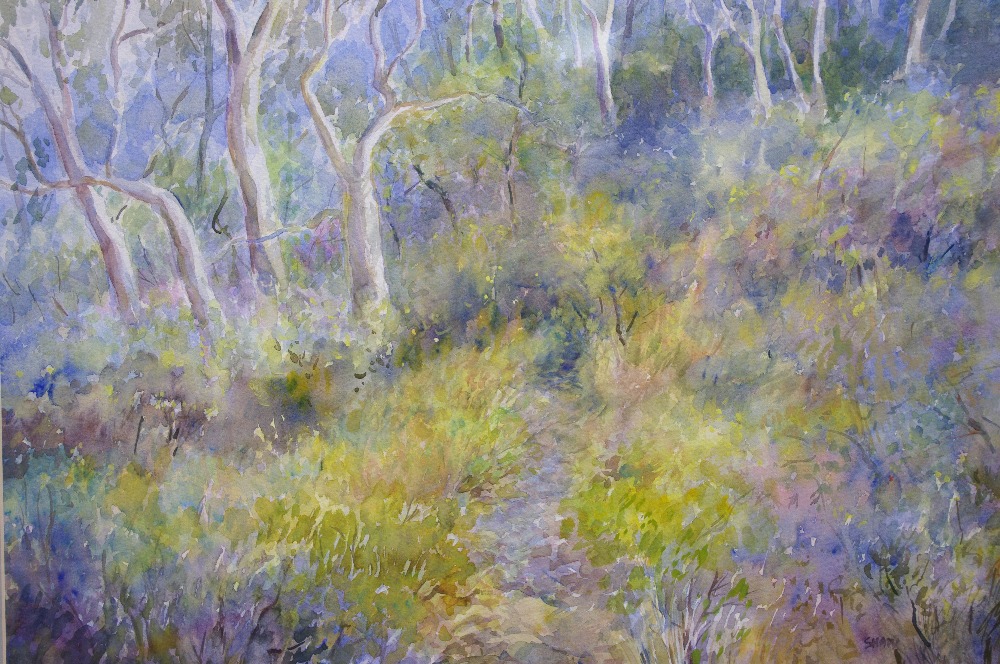 SHAW (Australian, contemporary). A colourful woodland scene. Signed; watercolour: 14"" x 18½"".