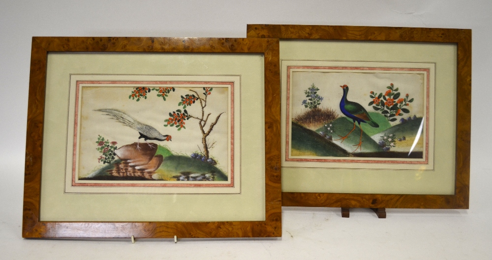 Two Chinese 19th century pith paintings, each painted depicting a fancy gamebird in a landscape,