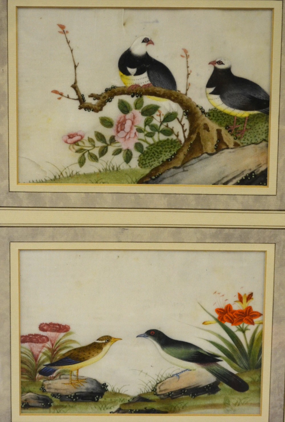 Two Chinese 19th century pith paintings depicting birds and flowers, 11 x 16 cm, mounted, glazed and - Image 2 of 2