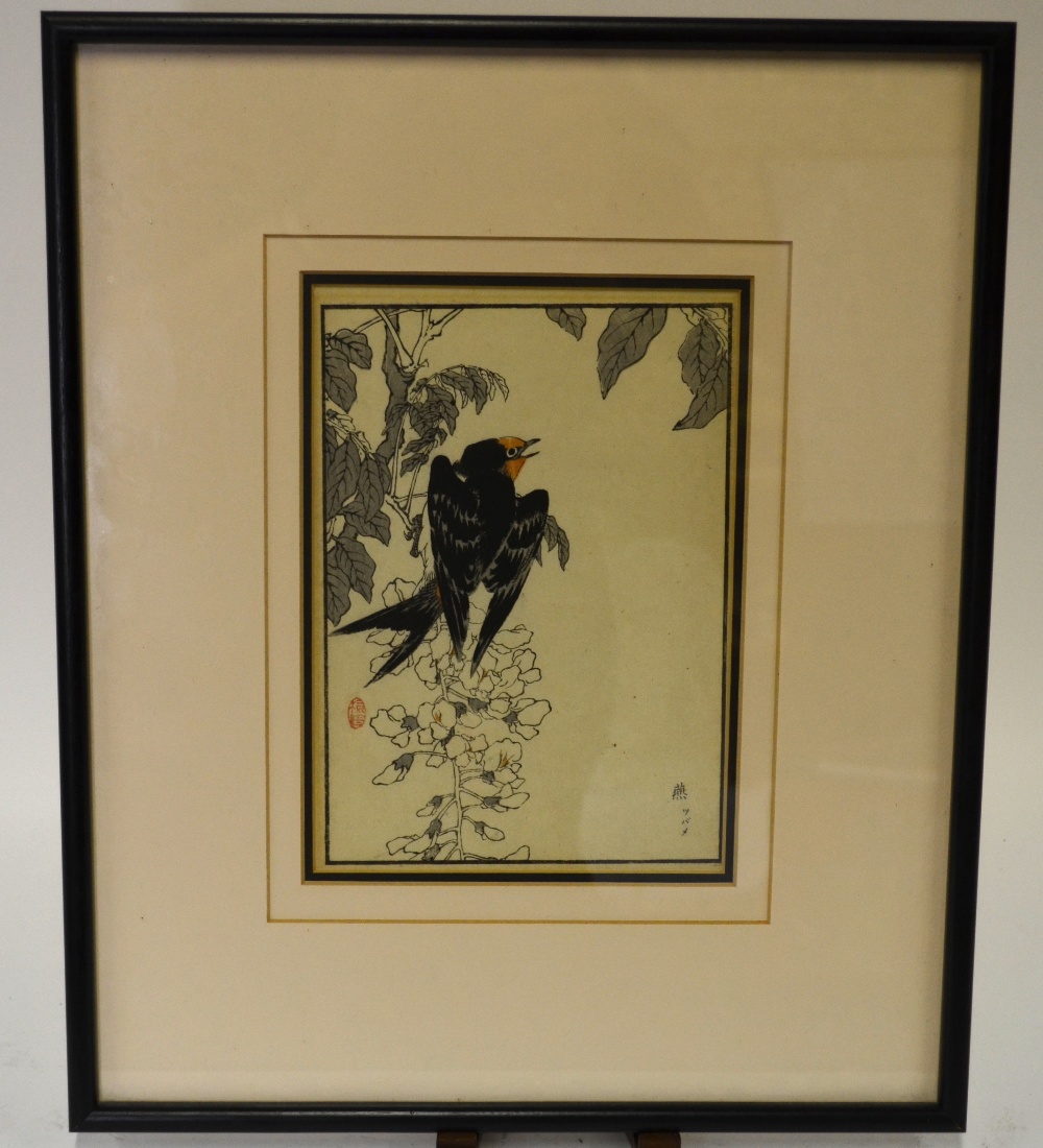 After Kono Bairei, Japan (1844-1895) - Bird on trailing blossom, woodblock print c. c. 1880's,