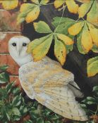 Jonathan Sainsbury Barn Owl Watercolour 45 x 35.5cm Kemblewood Gallery label verso