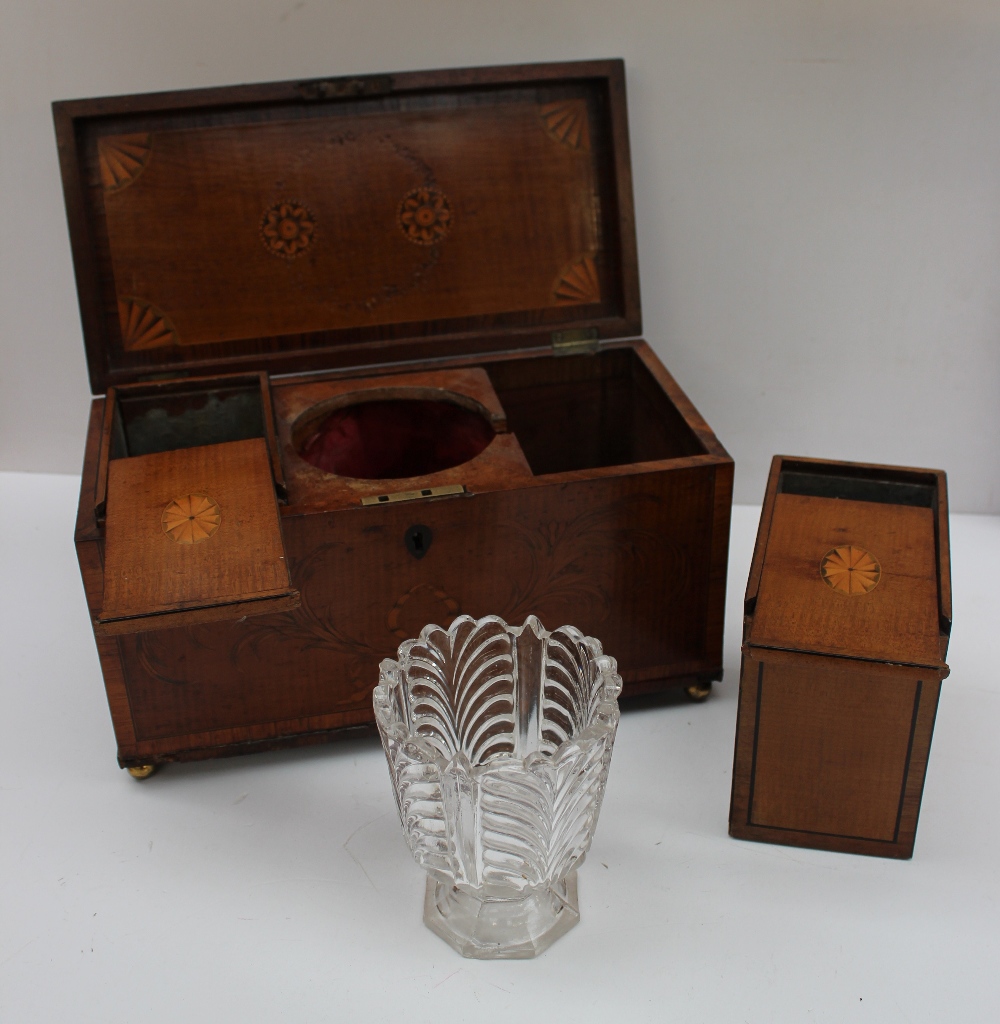 A George III satinwood tea caddy, the rectangular top with fan roundels, enclosing a two compartment - Image 2 of 3