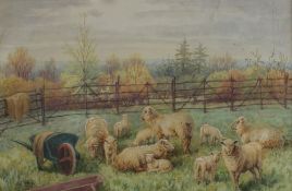 H J Rhodes Sheep in a field Watercolour Signed 26 x 39cm