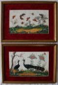 A pair of Chinese rice paper paintings of birds and butterflies, 20 x 31cm