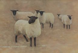 Martyn Vaughan Jones Black face sheep Watercolour Signed and dated 1991 8.5 x 13cm