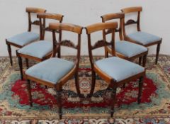 A set of six Regency rosewood dining chairs with a carved bar back above a drop in seat on lotus