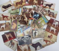 A collection of circa ninety-five postcards including dogs, and nostalgia postcards