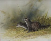 Mike Nance Otters in a grassy landscape Oil on canvas 49 x 60cm Signed